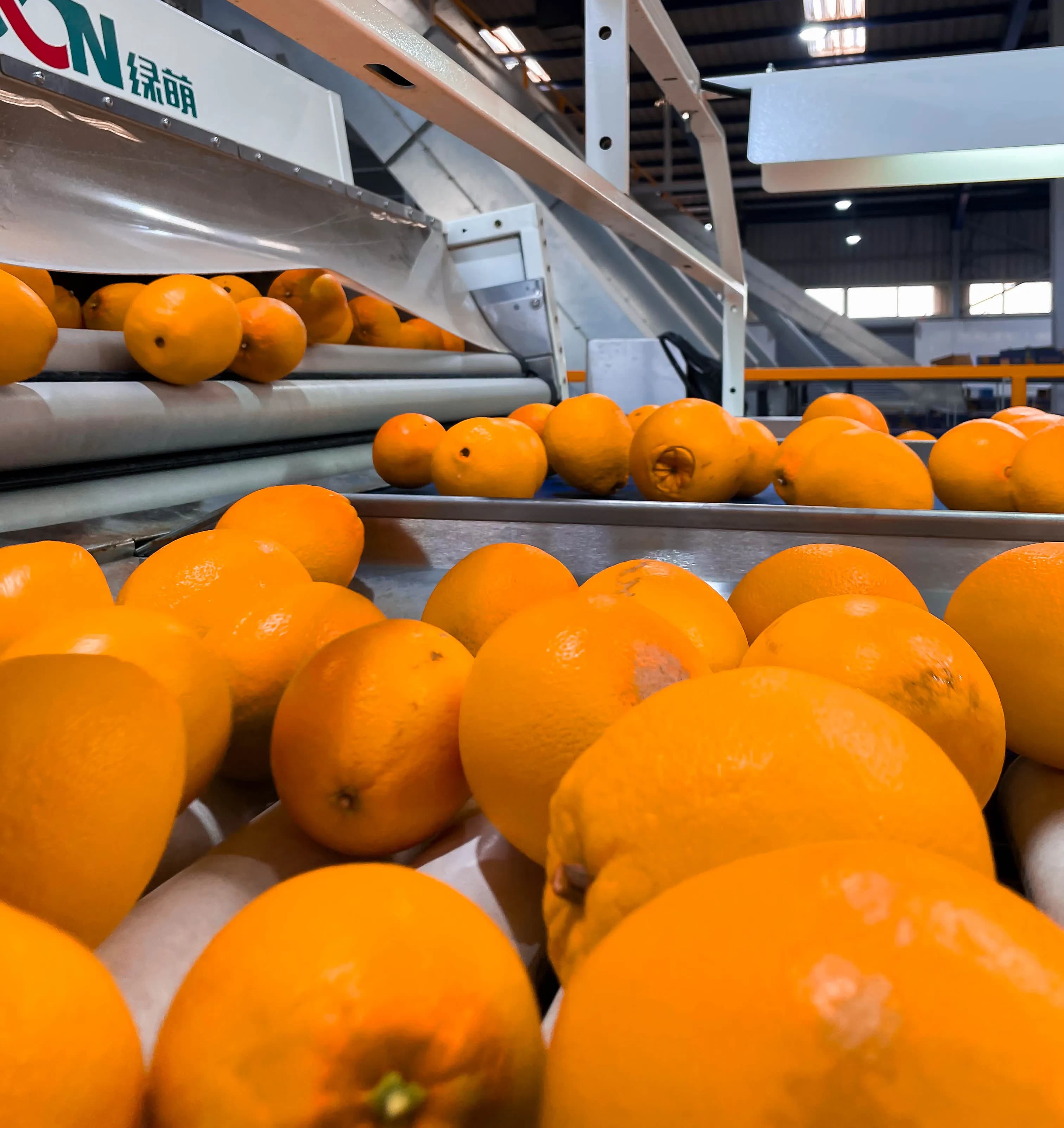 إدارة سلسلة التبريد