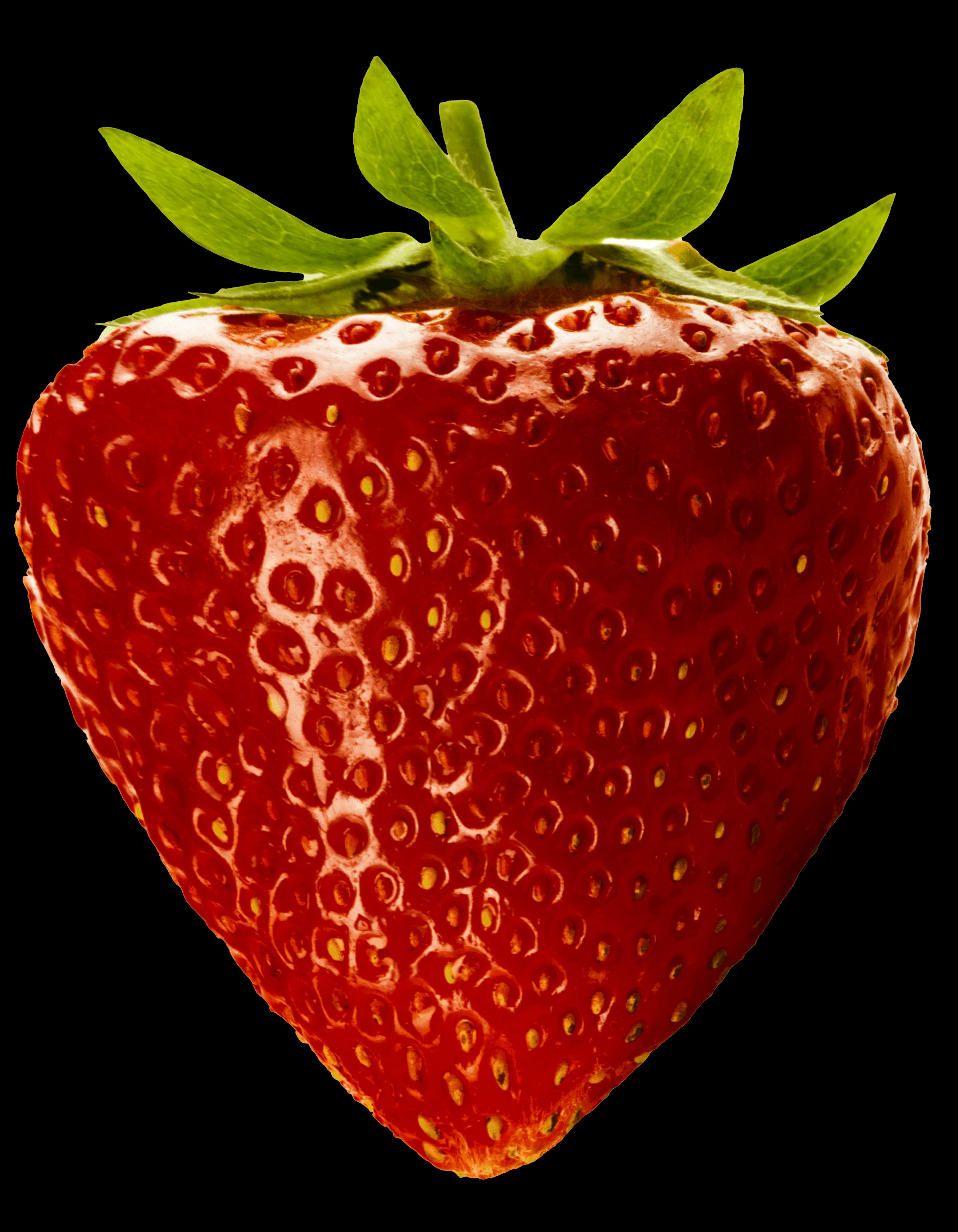 Ägyptische gefrorene Erdbeere